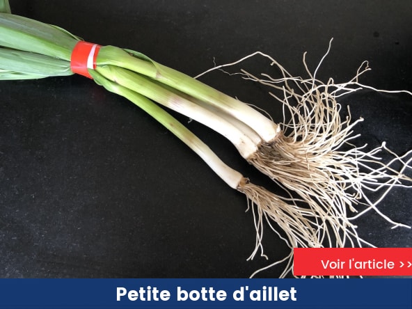 Aillet